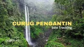 Jalur Sunyi Ditengah Hutan Menuju Curug Pengantin Banyumas || Pesona Curug Di Kaki Gunung Slamet