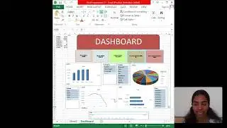 Excel for Interactive Data Analysis and Visualization