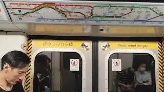 TWL M-Train A257/A282 葵興-大窩口