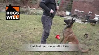 Apport Grunnferdigheter