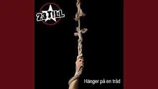 H&auml;nger p&aring; en tr&aring;d