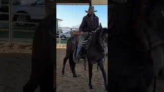 Teaching Your Horse to Think | Learning To Search
