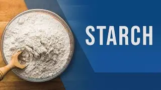 Wastewater Treatment for Starch Industry | Rochem India