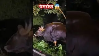 Yamraaz #shorts #trending #shortsfeed #viral #yamraj #kaal #life #bhayankar #ytshorts #short #night