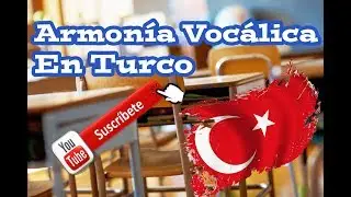Aprender Turco  | Armonía Vocálica en Turco