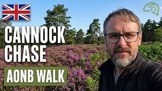 Hiking Cannock Chase AONB in the heart of England’s Forest landscape 🏴󠁧󠁢󠁥󠁮󠁧󠁿 ❤️🥾