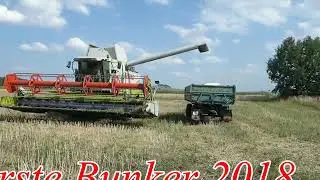 079 Lohndrusch mit Heindl 2018