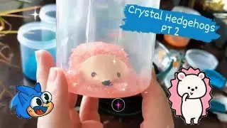 Wrapping up the Crystal Hedgehogs! 🦔