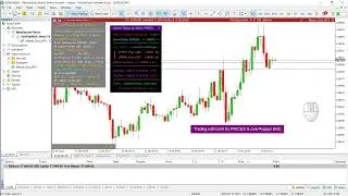 Master Grid MT5:   Price Range Control