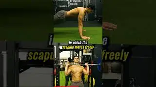 Тренировка передней зубчатой ​​мышцы (мышцы боксера)