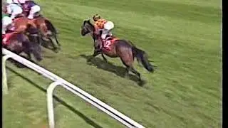 1997 Chester Cup Top Cees Includes Replay