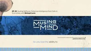 Michael Levin on Scaling Selfhood via Gap Junctions