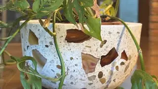 COMO FAZER UM VASO DE GRANILITE/TERRAZZO USANDO CIMENTO ESTRUTURAL BRANCO?