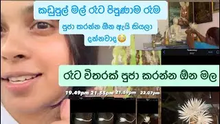 Kadupul Flower රාත්&zwj;රියේ රැජිණ ගැන මේ දේවල් දන්නවාද😳 #flowers #queen #vlog #garden #dayvlogs