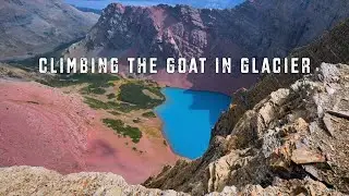 ONE OF THE BEST HIKES IN GLACIER // SUMMITING GOAT MOUNTAIN ~ EP. 2 IN THIS GLACIER NP SERIES