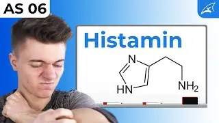 Histamin & Biogene Amine - einfach erkl&auml;rt! // Biogene Amine, Histamin und Allergien