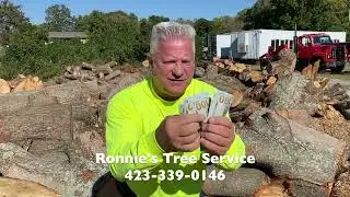 Ronnie's Tree Service Cleveland TN