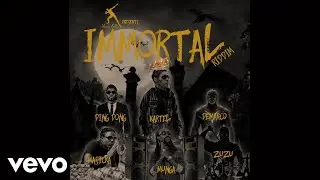 Immortal Riddim Medley