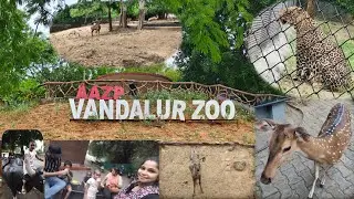 நம்ம ஊரு வண்டலூர் Zoo 😎😇 | Vandalur Zoo Trip 2025 | Zoological Park | Vandalur Zoo Vlog in Tamil
