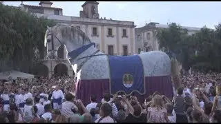 El Cavall dels Nebot - El cavall més gran de Catalunya amplia el seguici festiu de Riudoms