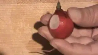 Vegetable Art with Peter Sellers