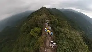 太后公主終於請出門了
