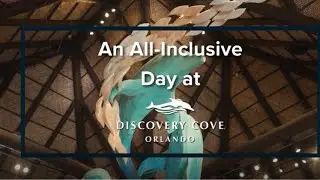 An All-Inclusive Day - Discovery Cove