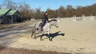 O'Malley flat and lead changes