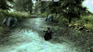 Skyrim - Skjorl, the half man ( Bug )