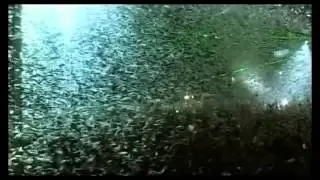 Sunrise Festival Poland 2005 Short Mix