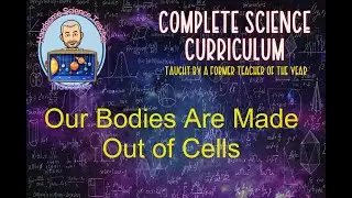 Our Bodies Are Made Out of Cells