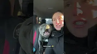 I Have a Very Talkative Dog！😂🐶#funnydogs #foryou #fyp #dogsoftiktok #funnypets