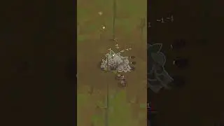 Raiding the Spider Nest | Ant Colony Wild Forest