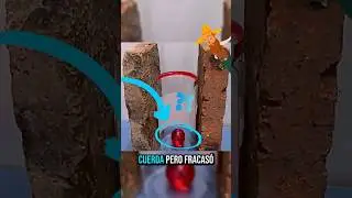 Sabidur&iacute;a antigua que pocos conocen y que a&uacute;n funciona hoy!