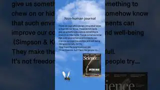 Animal Ethics - What Can We Do to Foster Our Relationship with Laboratory Animals? #viralshorts