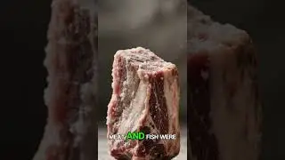 Feast vs Famine: The Brutal Reality of the Medieval Diet