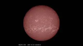SUN | SDO | Data 01-10-2024