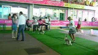 MOV04872