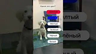 Слушай, читай и повторяй! Цвета #inrusso #linguarussa #studiarerusso #russianlanguage