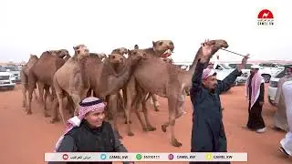 مسيرة / نايف الحميدي الدغيلبي