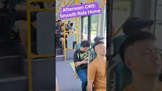 Taking the CW5 Bus from JB to Newton: Smooth Afternoon Trip Back to Singapore 🚍🇸🇬🇲🇾