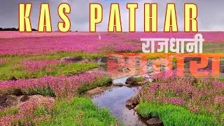 KAS PATHAR AND SATARA SPECIAL in June || VLOG NO.5