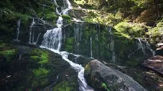Winds of the Celtic Isles: Relaxing Music for Calm