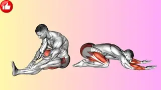How to Fix Tight Hips & Back | Full Body Follow Along