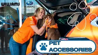 Subaru Pet Accessories: Keep Your Furry Friend Safe & Comfortable | Subaru Genuine Accessories