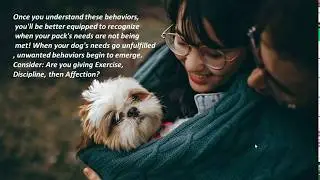Common dog behaviors explained! - Dogstylecenter