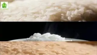 How to Identify Plastic Rice or Fake Rice at home &ndash; Tricks and Tips