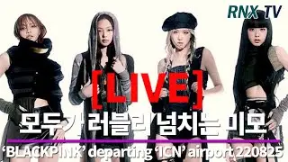 220825 [LIVE] BLACKPINK, 언제라도 빛나는 아름다움 - RNX tv