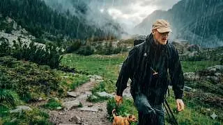 1 Hour of Silent Solo Hiking with My Dog | Heavy Rain