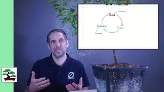 Feedback and Test-Driven Development